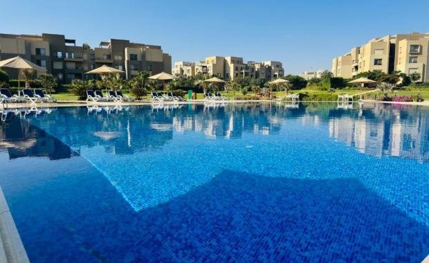 Palm Parks — Sheikh Zayed